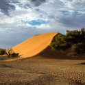 NAM HAR Dune45 2016NOV21 091 : 2016 - African Adventures, Hardap, Namibia, Southern, Africa, Dune 45, 2016, November